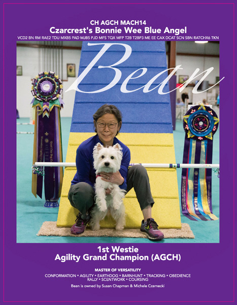 Westies of best sale distinction